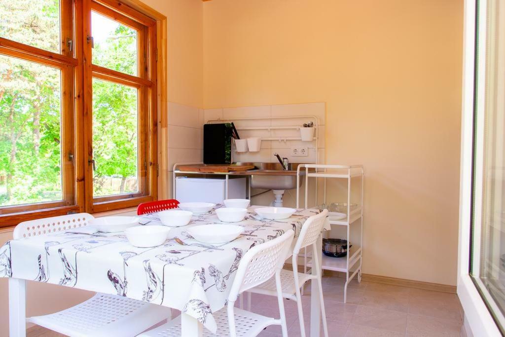 Hotel Vila Bohema Palanga - 4 Apartamentu Vila Kestucio G. 11 Esterno foto