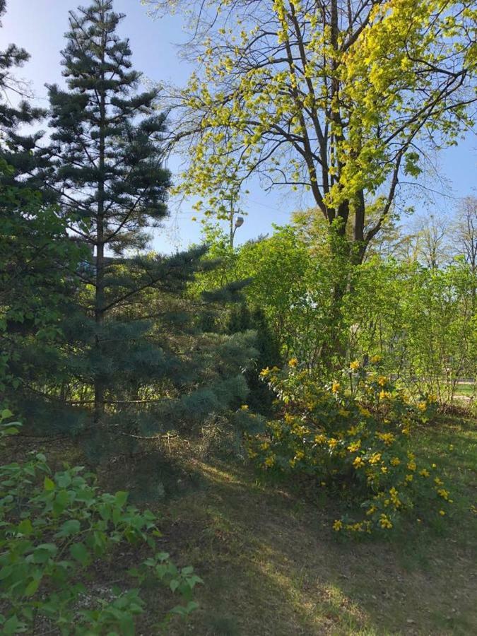 Hotel Vila Bohema Palanga - 4 Apartamentu Vila Kestucio G. 11 Esterno foto